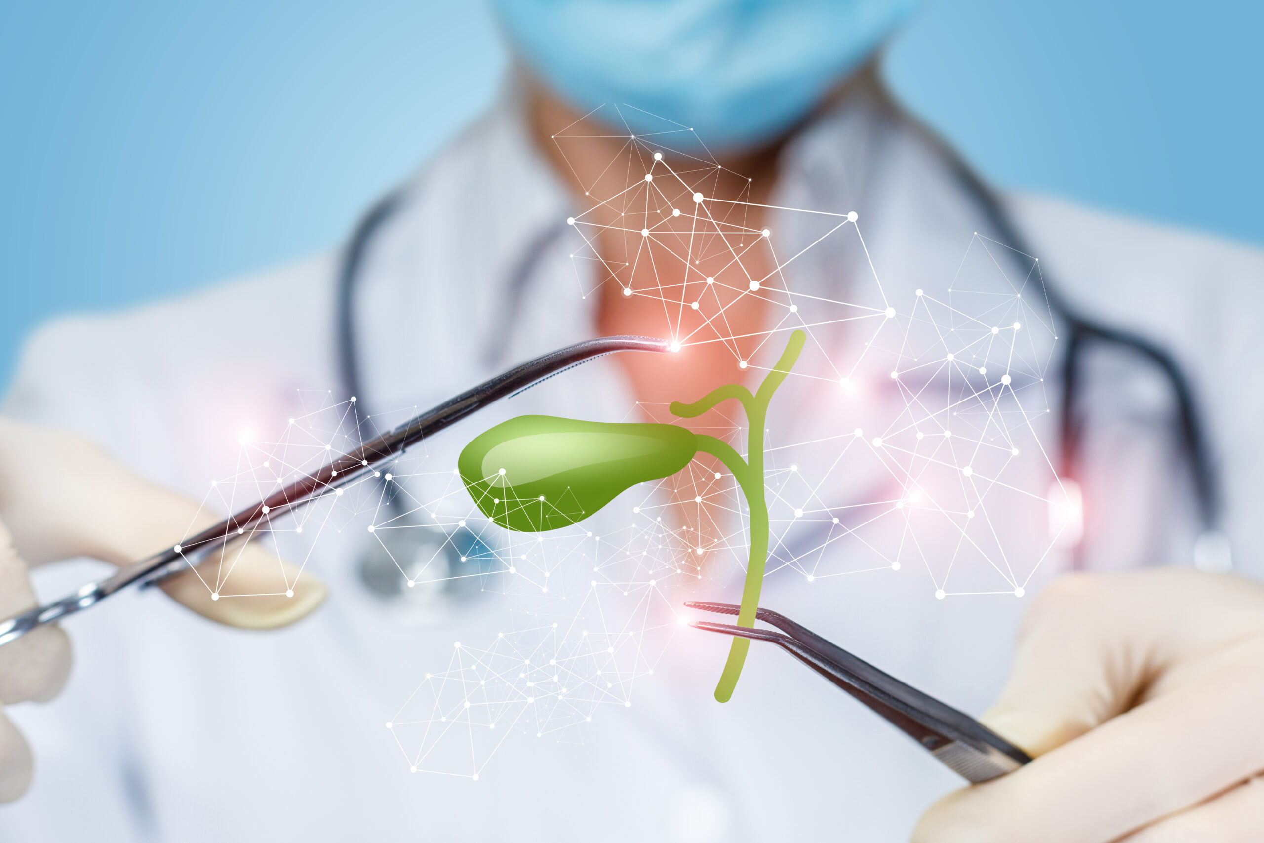 Wilmed gallbladder